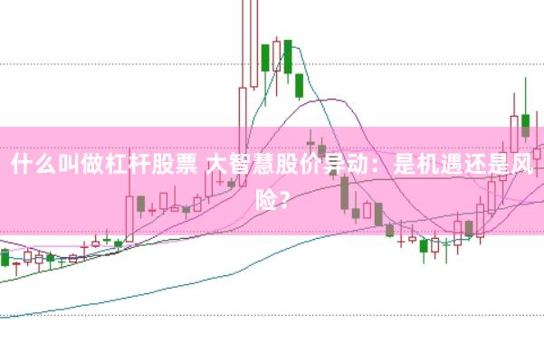 什么叫做杠杆股票 大智慧股价异动：是机遇还是风险？
