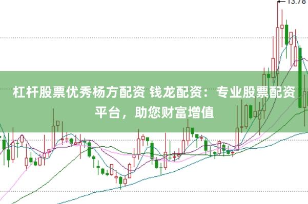 杠杆股票优秀杨方配资 钱龙配资：专业股票配资平台，助您财富增值
