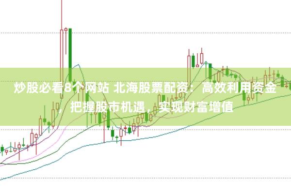 炒股必看8个网站 北海股票配资：高效利用资金，把握股市机遇，实现财富增值
