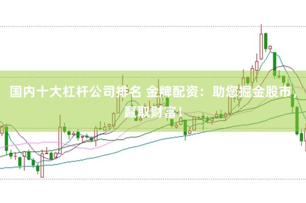 国内十大杠杆公司排名 金牌配资：助您掘金股市，赢取财富！