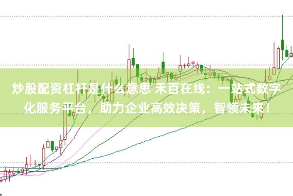 炒股配资杠杆是什么意思 禾百在线：一站式数字化服务平台，助力企业高效决策，智领未来！