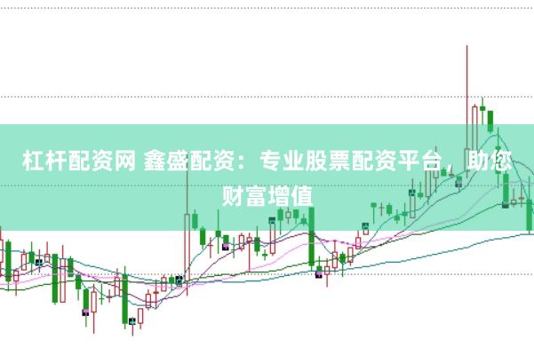 杠杆配资网 鑫盛配资：专业股票配资平台，助您财富增值