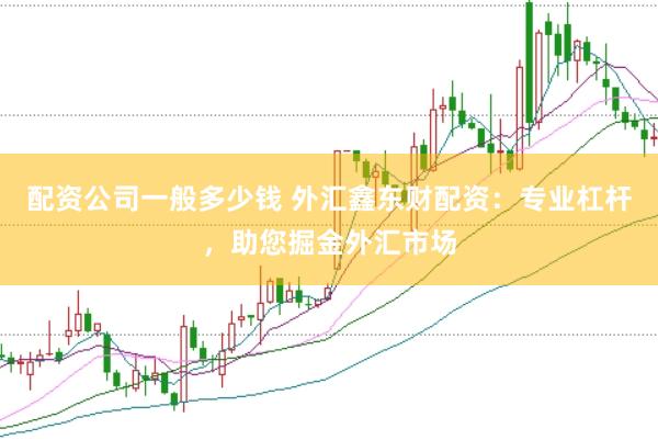 配资公司一般多少钱 外汇鑫东财配资：专业杠杆，助您掘金外汇市场