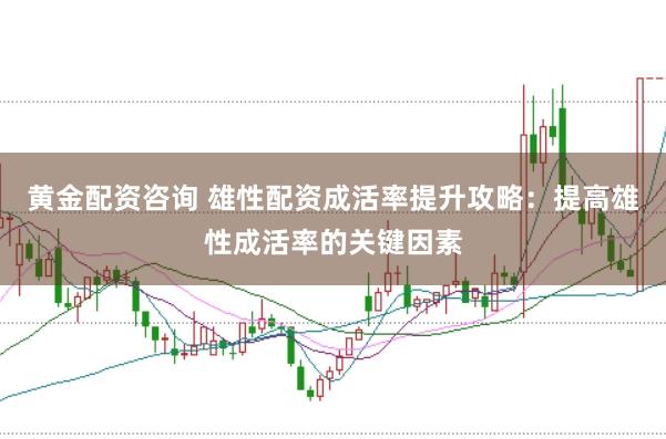 黄金配资咨询 雄性配资成活率提升攻略：提高雄性成活率的关键因素