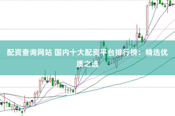 配资查询网站 国内十大配资平台排行榜：精选优质之选