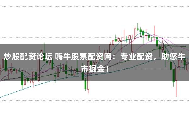 炒股配资论坛 嗨牛股票配资网：专业配资，助您牛市掘金！