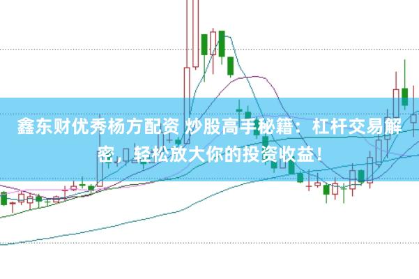 鑫东财优秀杨方配资 炒股高手秘籍：杠杆交易解密，轻松放大你的投资收益！