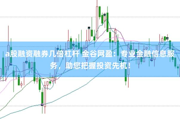 a股融资融券几倍杠杆 金谷网盈：专业金融信息服务，助您把握投资先机！