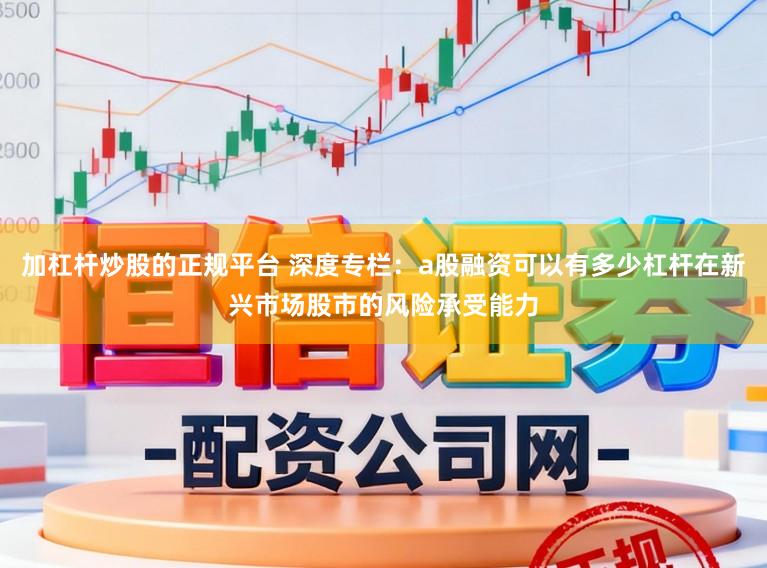 加杠杆炒股的正规平台 深度专栏：a股融资可以有多少杠杆在新兴市场股市的风险承受能力
