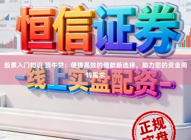 股票入门知识 顶牛贷：便捷高效的借款新选择，助力您的资金周转需求